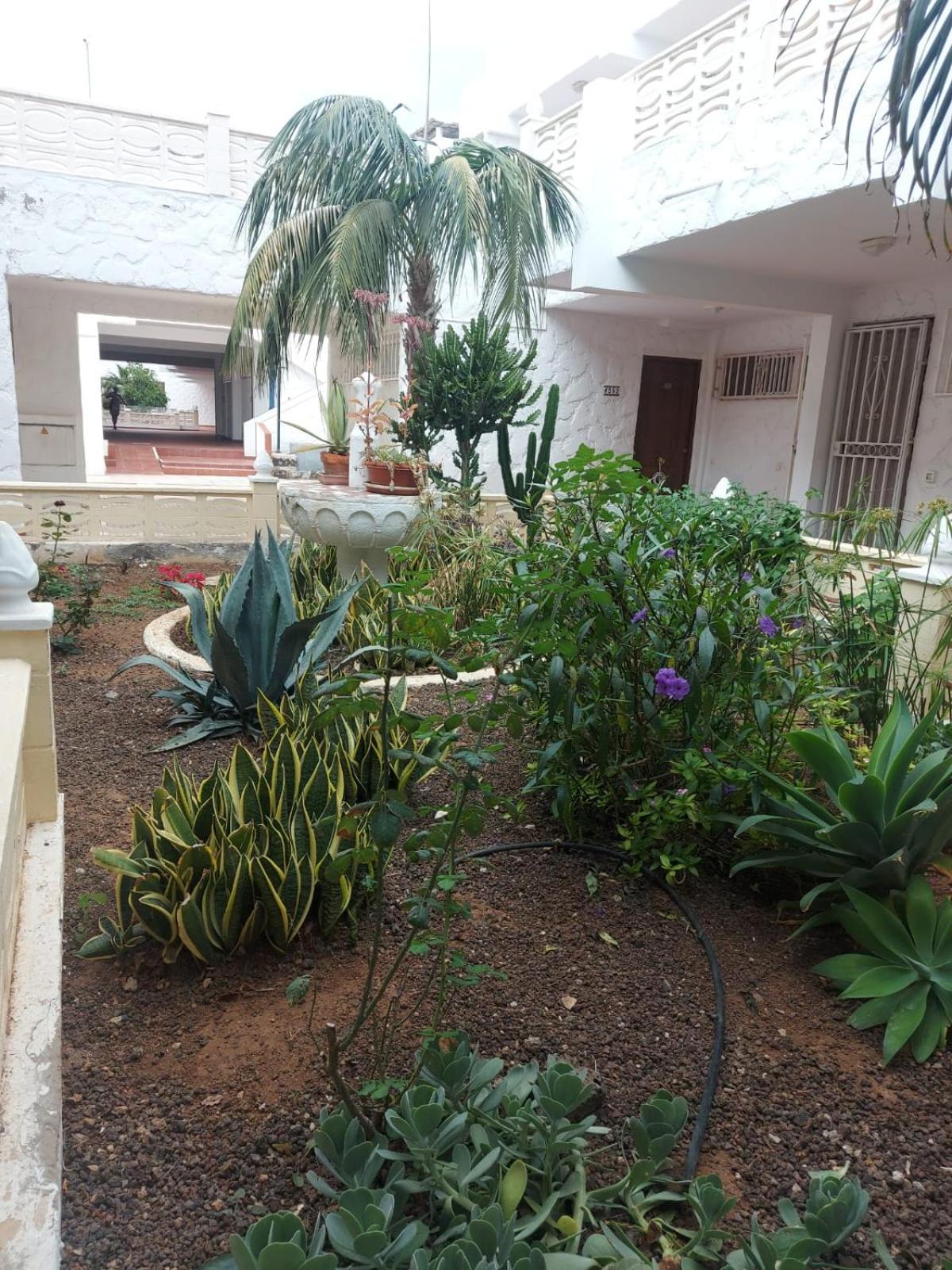 Casa Papagayo Apartment Arona  Exterior photo